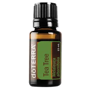 Tea Tree (Teebaum) - 15ml Flasche - Ätherisches Öl - dōTERRA