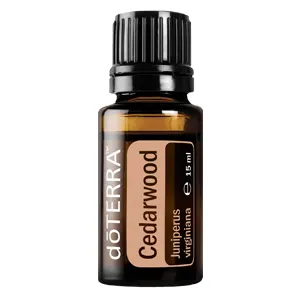 Cedarwood (Zeder) - 15ml Flasche - Ätherisches Öl - dōTERRA